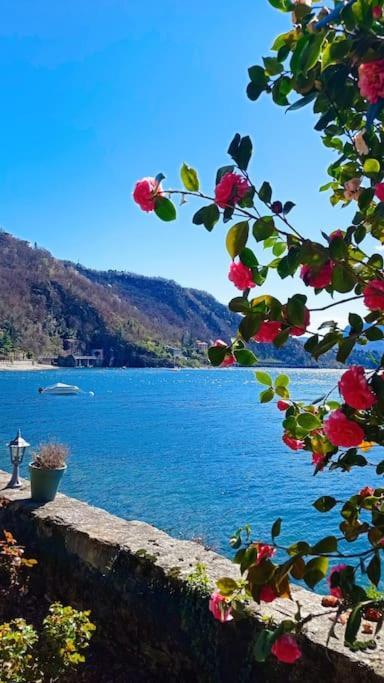 Holiday home Casetta Maggiore *